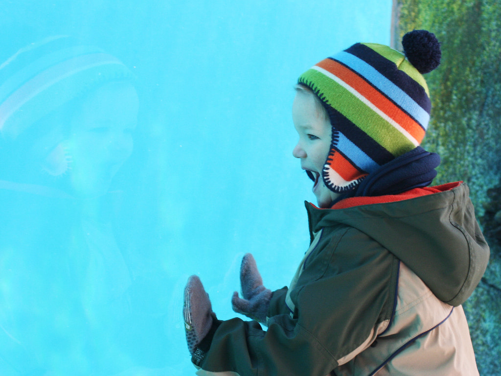 10 Things to do in Boston with Kids