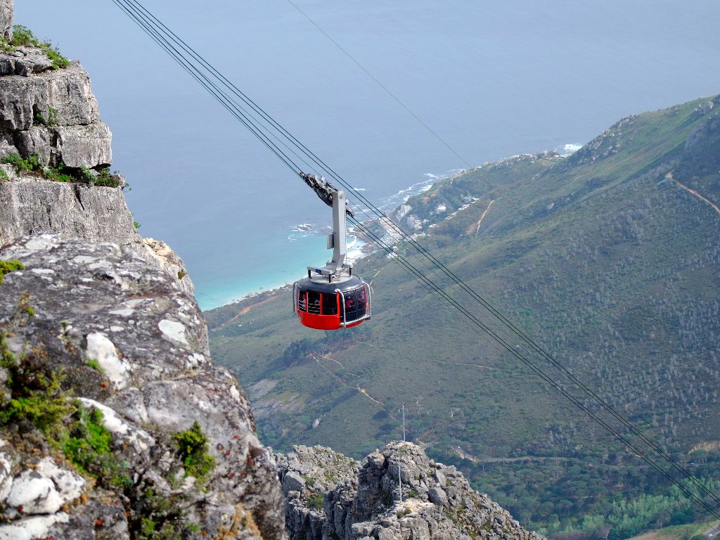 From peaks to penguins: Your guide to Cape Town