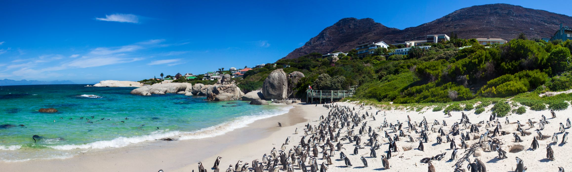 Boulders Beach