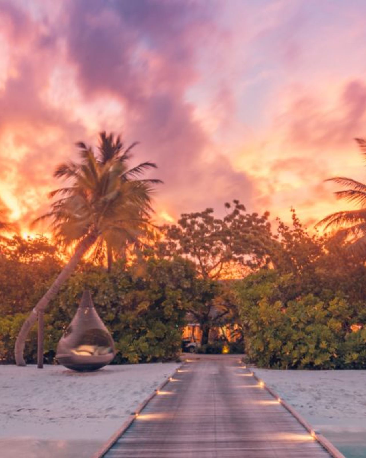 Book your honeymoon now