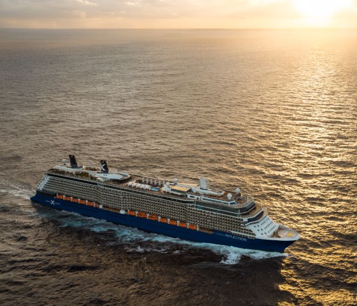 Aerial view of Celebrity cruise ship