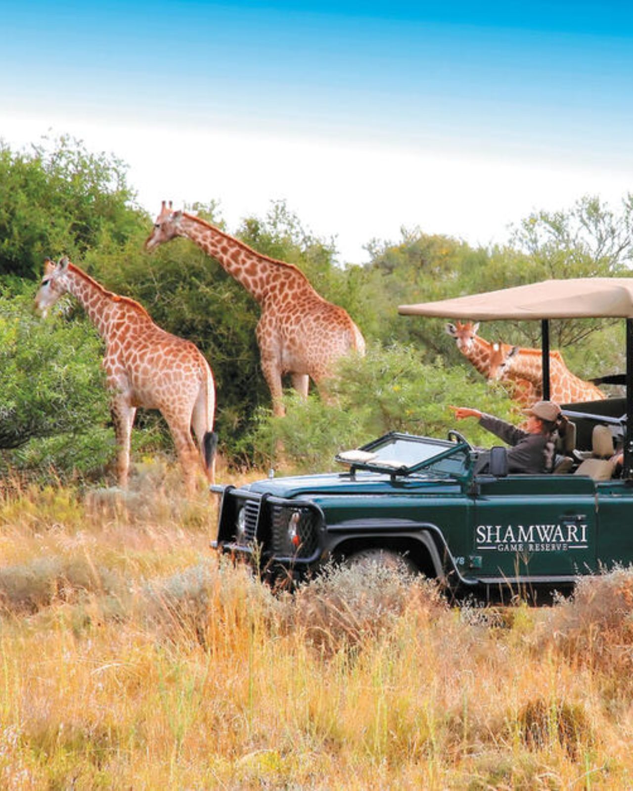 Eastern Cape Safari