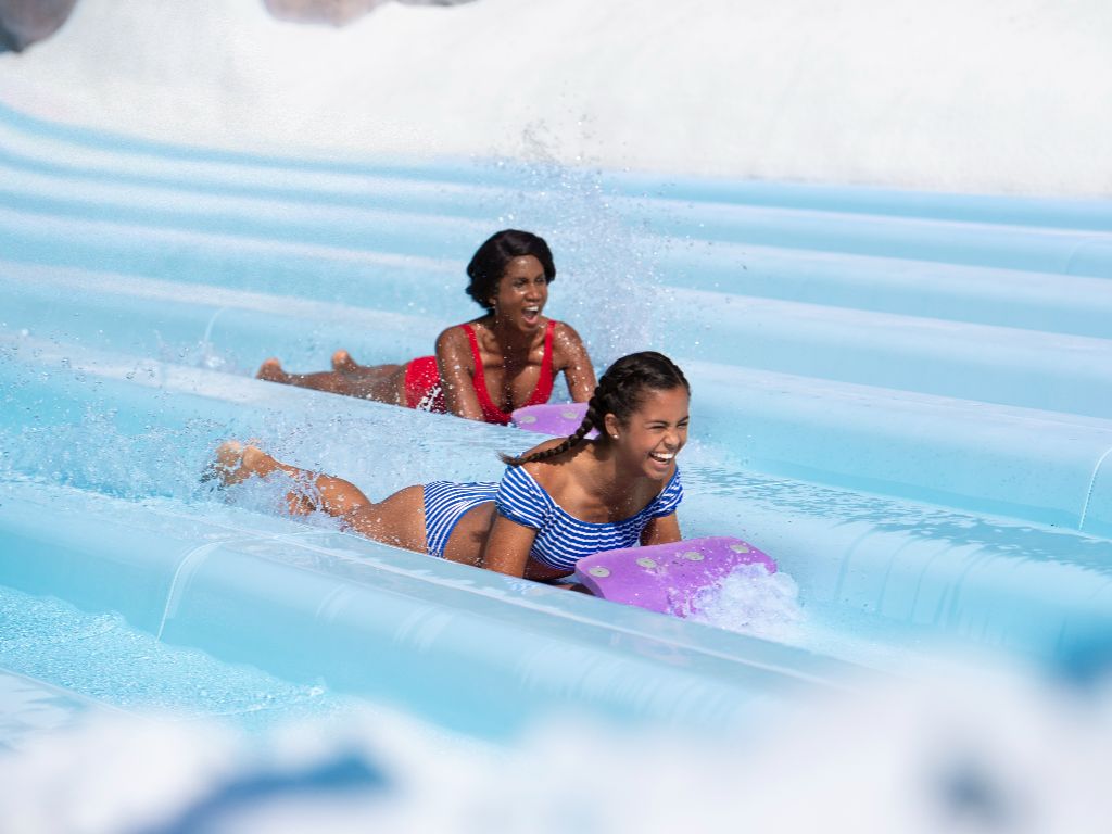 Toboggan Racers at Disney's Blizzard Beach waterpark