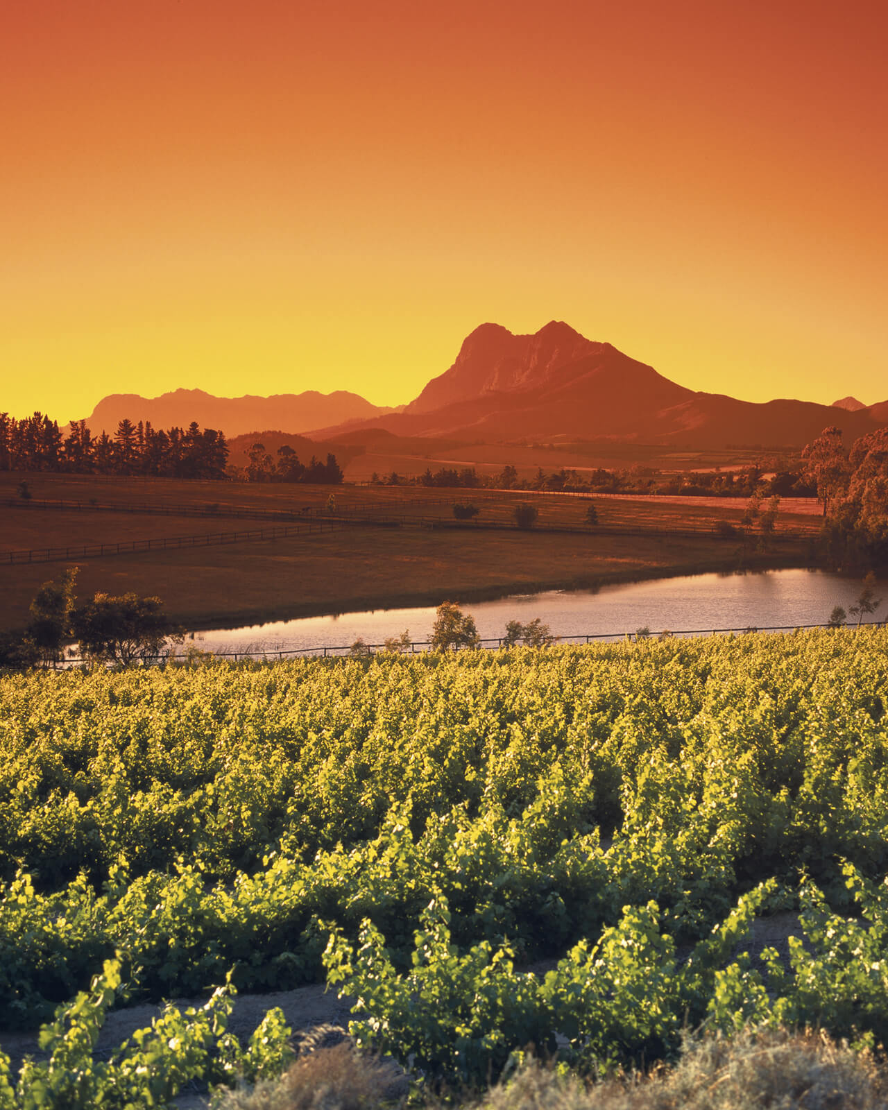 South Africa Holidays