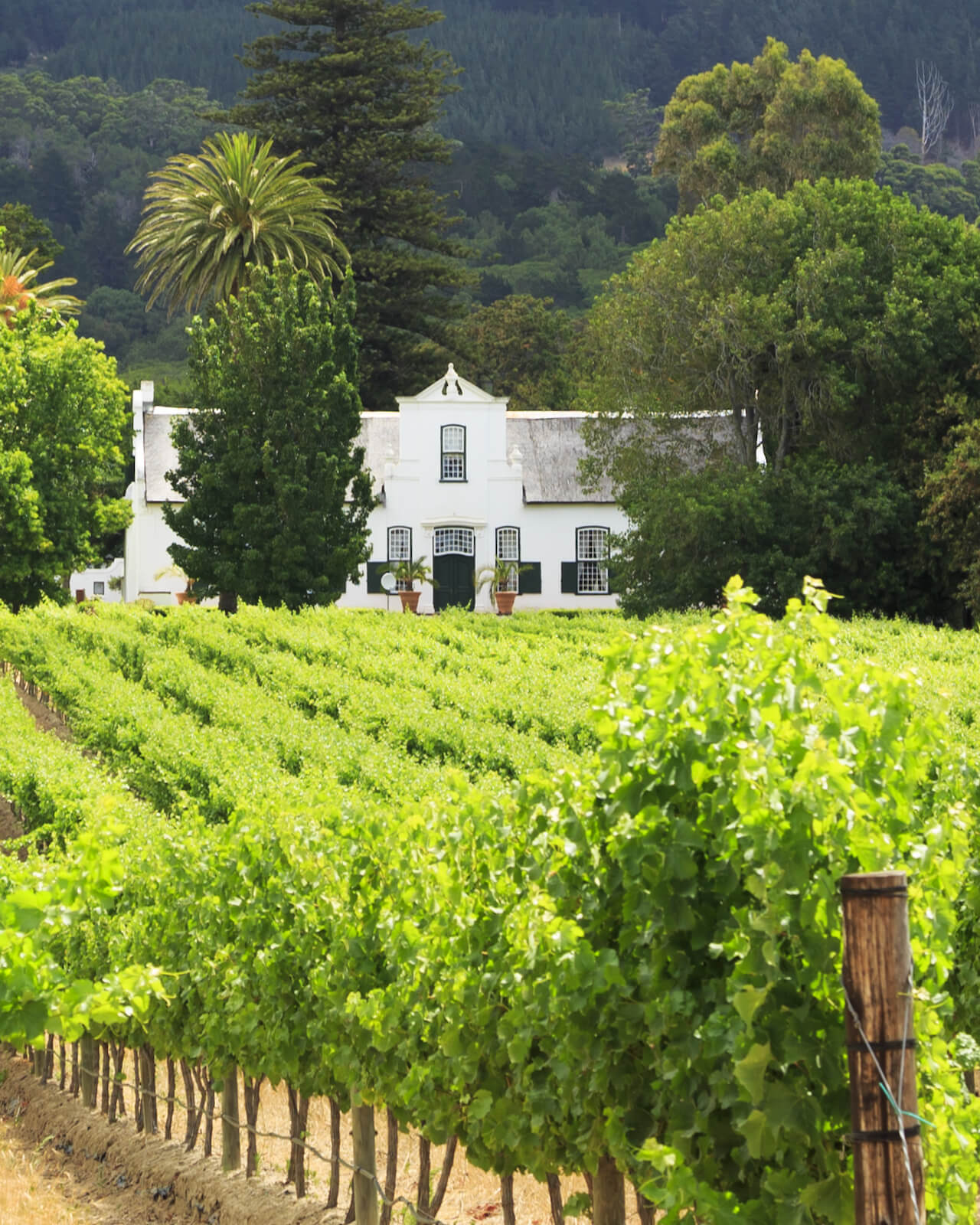 Winelands Holidays