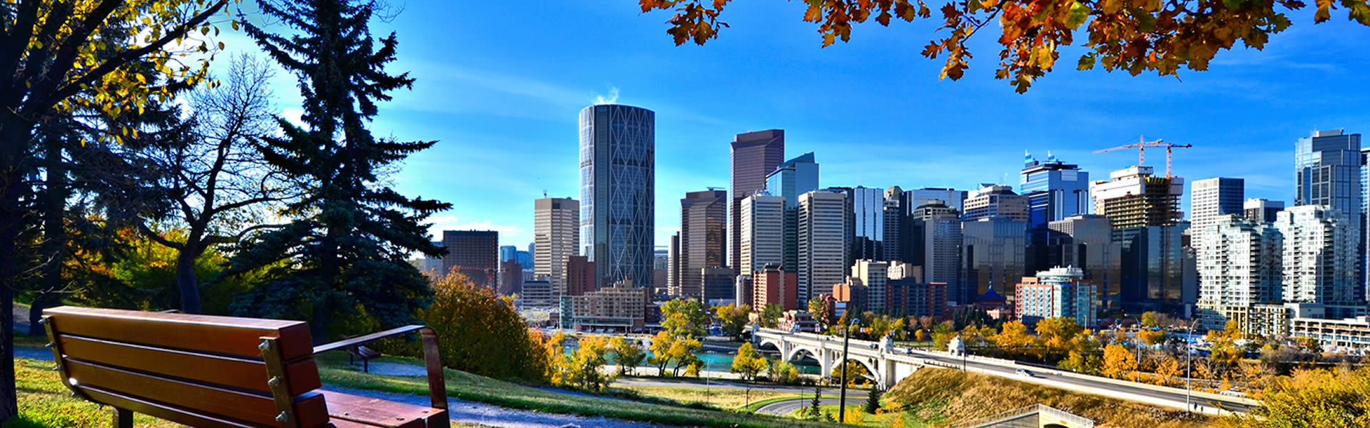 Calgary banner image