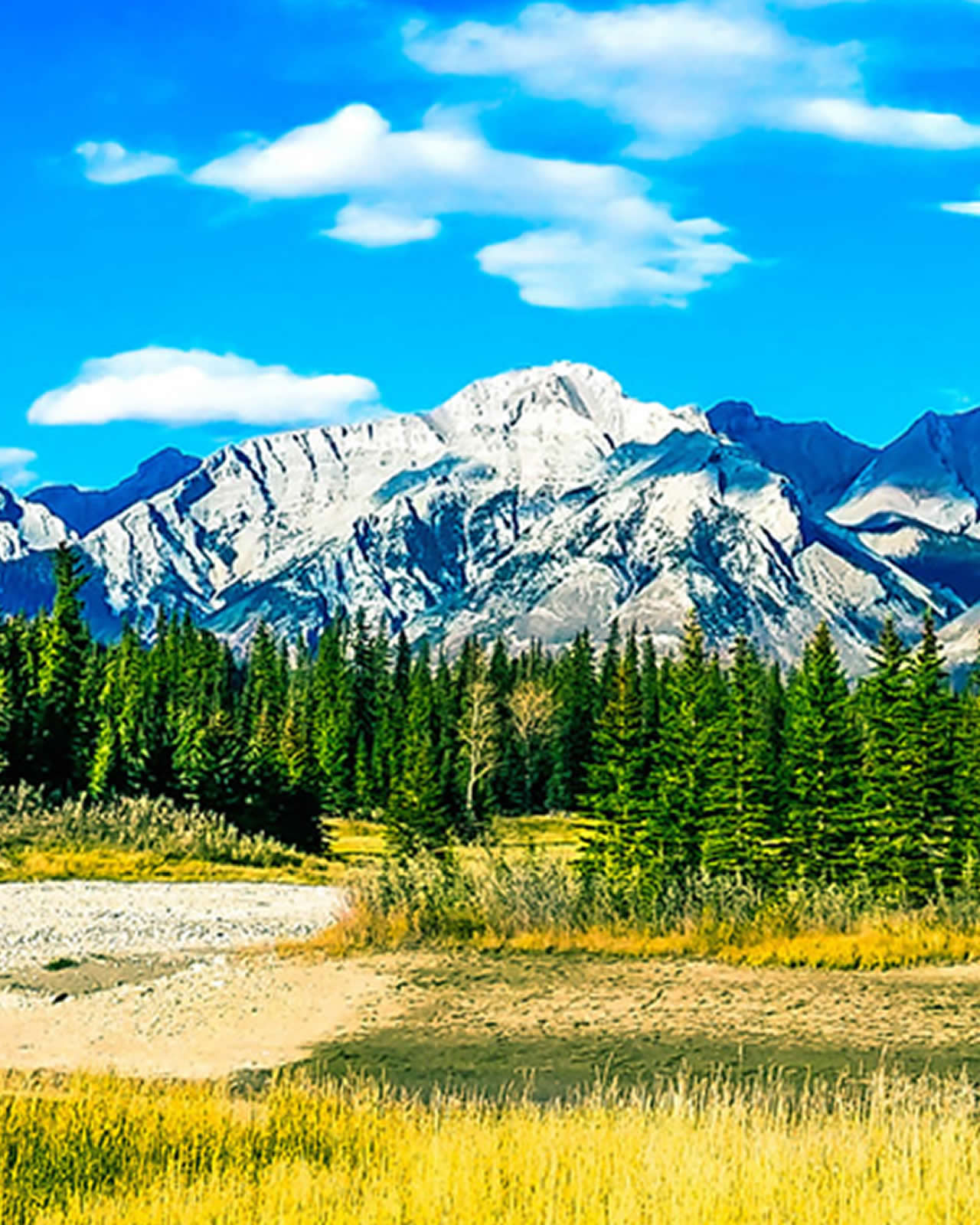 Whistler mobile image