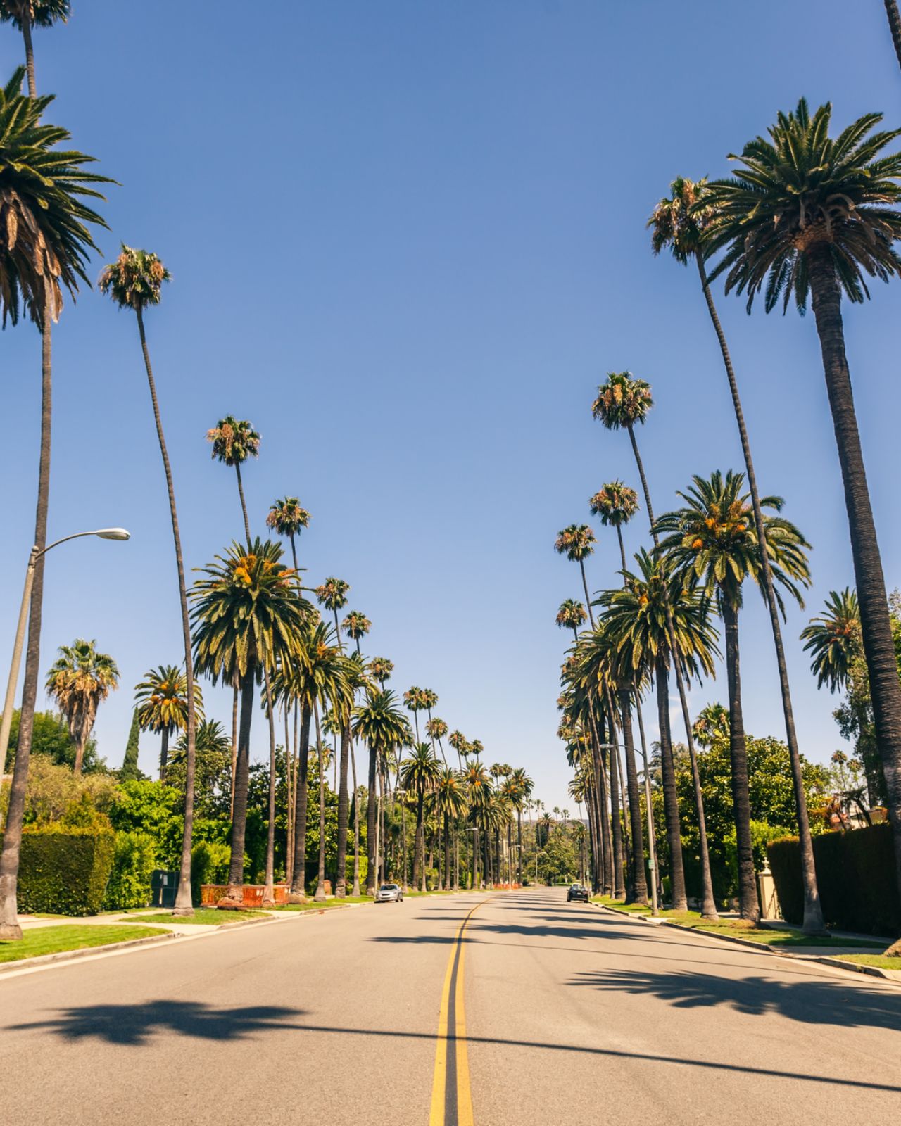 Beverly Hills street